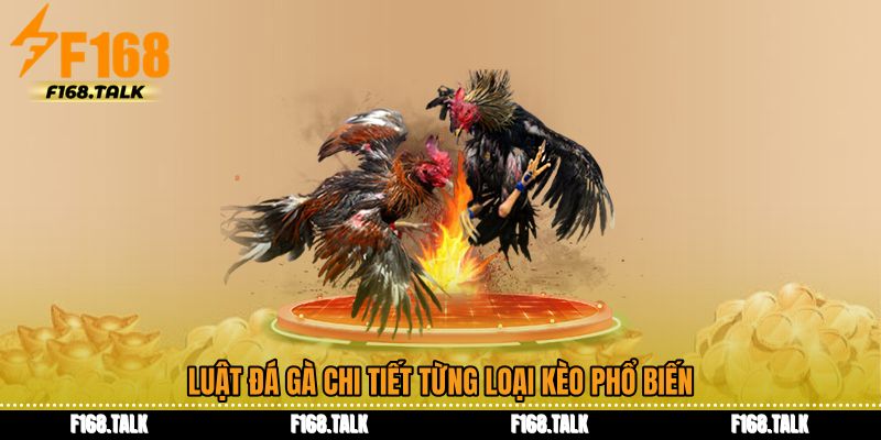 Luật đá gà chi tiết từng loại kèo phổ biến
