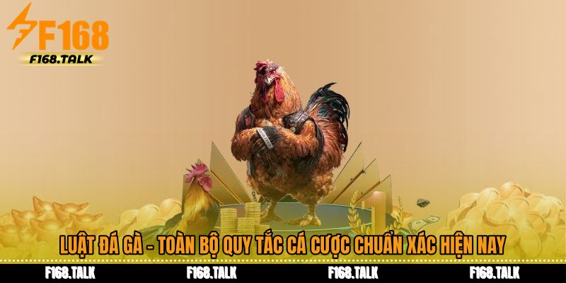 Luật Đá Gà - Toàn Bộ Quy Tắc Cá Cược Chuẩn Xác Hiện Nay